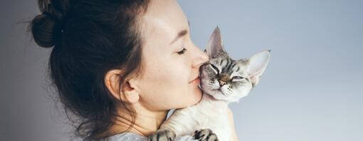 Die besten 100 weiblichen Katzennamen - perfekt für deinen pelzigen Freund